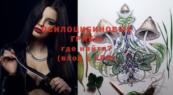 стафф Армянск