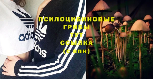 гидропоника Аркадак