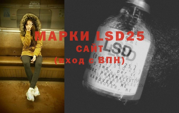ГАЛЛЮЦИНОГЕННЫЕ ГРИБЫ Алексин